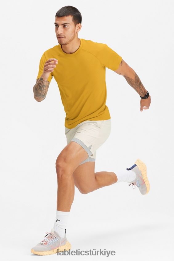 tr Fabletics erkekler temel kısa ii (çizgili) 133 kemik 40R06B3129