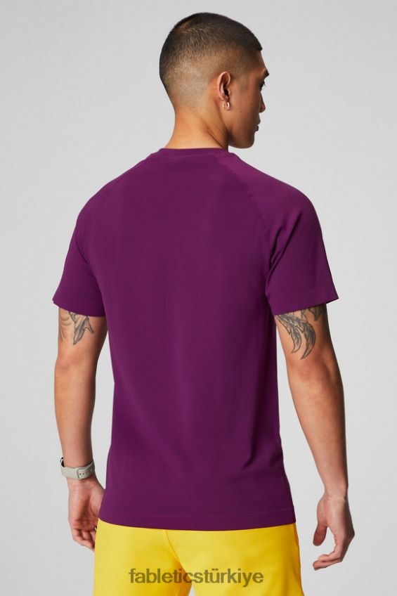 tr Fabletics erkekler eğitim günü tişörtü 174 patlıcan 40R06B3458