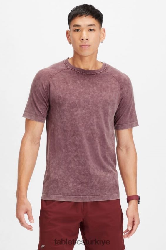 tr Fabletics erkekler eğitim günü tişörtü 177 yıkanmış öküz kanı 40R06B3476