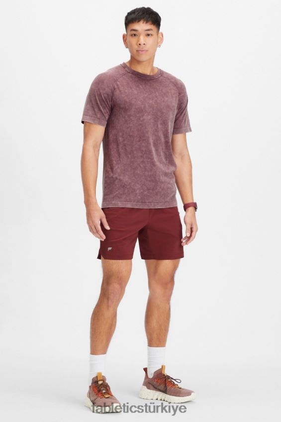 tr Fabletics erkekler eğitim günü tişörtü 177 yıkanmış öküz kanı 40R06B3476