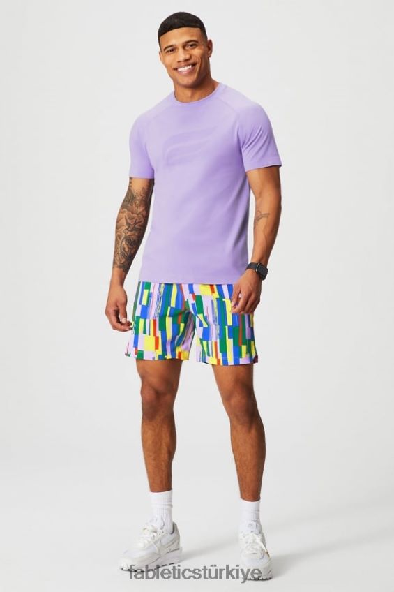 tr Fabletics erkekler eğitim günü tişörtü 186 ikonik lavanta iki tonlu f 40R06B3549