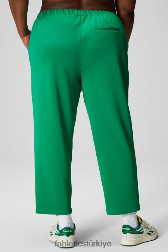 tr Fabletics kadınlar konik triko pantolon çimen yeşili/çok şeritli 40R06B35