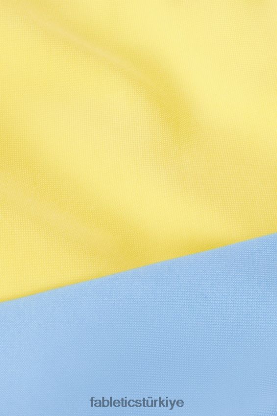 tr Fabletics kadınlar çapraz düşük etkili spor sutyeni güneşli bir gün / bluebell 40R06B1514