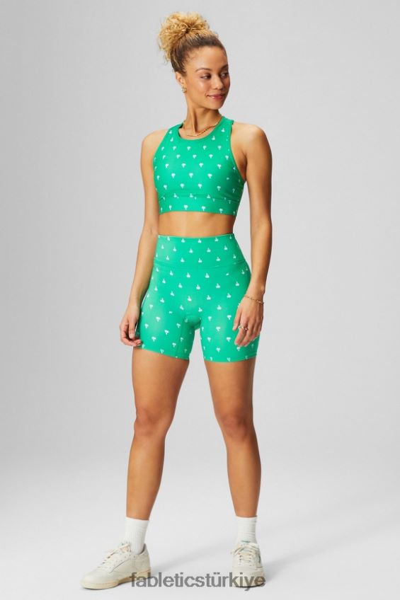 tr Fabletics kadınlar trinity yüksek etkili spor sutyeni 96 şanslı yeşil palmiye/klasik beyaz 40R06B1367